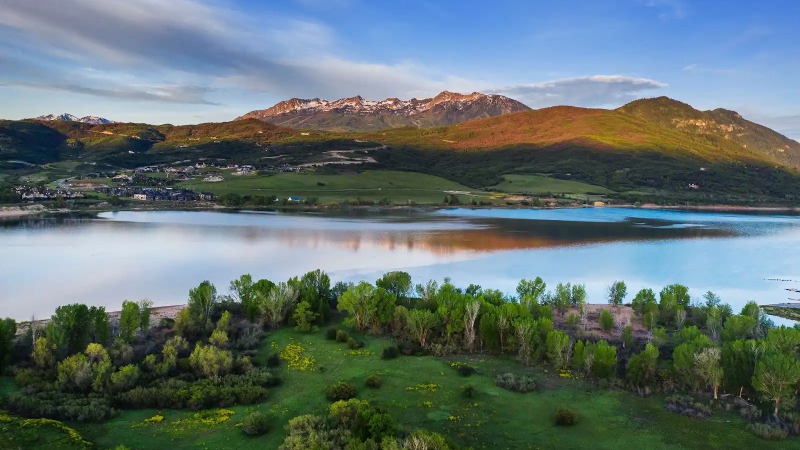 Pineview