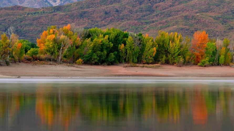 Lakeside