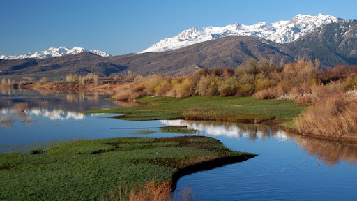 Three Rivers