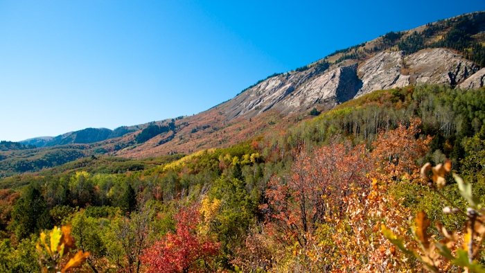 Trappers Valley
